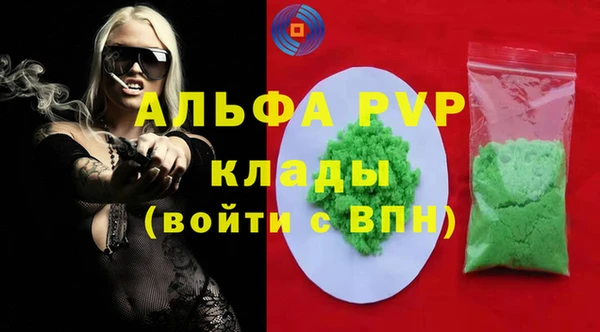 трава Белокуриха