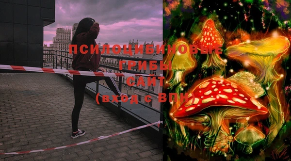 MDMA Premium VHQ Беломорск