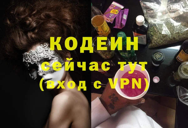 трава Белокуриха