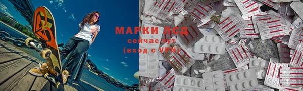 трава Белокуриха