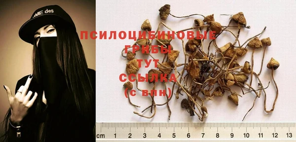 прущая мука Белоозёрский